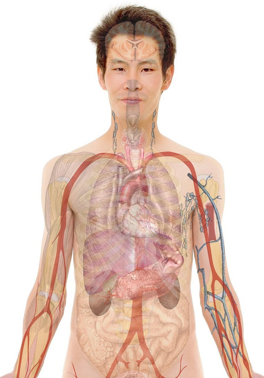 訪問看護認定看護師になるにはどんなステップが必要ですか？